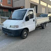 Fiat ducato cassonato