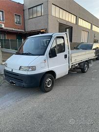 Fiat ducato cassonato