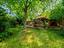 Immagine 28