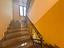 Immagine 8