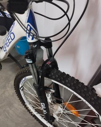 Mountain bike 