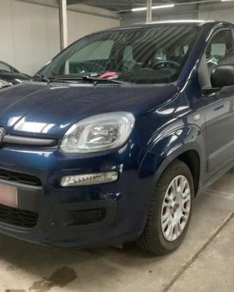 Fiat Panda 1.2 Easy-Km66300-