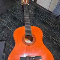 chitarra rolings con fodero e piede