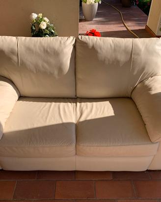 Divani in pelle