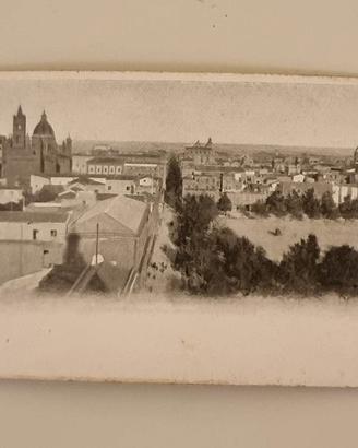 Cartolina antica panoramica pieghevole Palermo