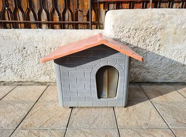 DISP. CONSEGNA 🏡 Cuccia per cane 🐶 + REGAL0