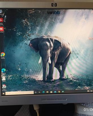 MONITOR HP 17
