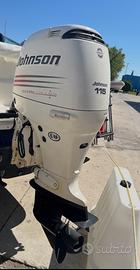 Motore Johnson Suzuki 115 4 tempi