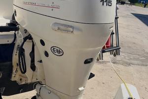 Motore Johnson Suzuki 115 4 tempi