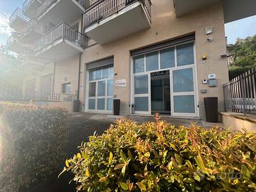 Locali commerciali, artigianali o professionali