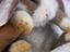 Immagine 3