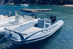 novamarine 5.40m 40cv mercury