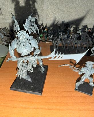 Warhammer lotto Ossiarch Bonereapers