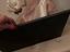Immagine 3