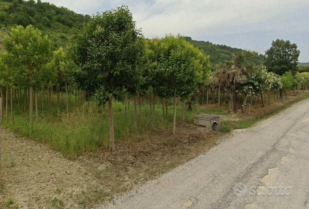 Appartamento – Grottammare - Altro
