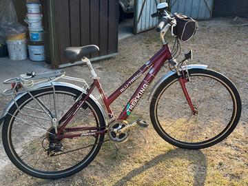 Bici da Trekking