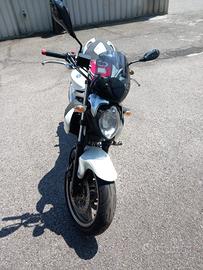Suzuki SFV Gladius 650 - 2009