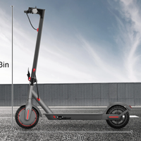 Monopattino nuovo 350w