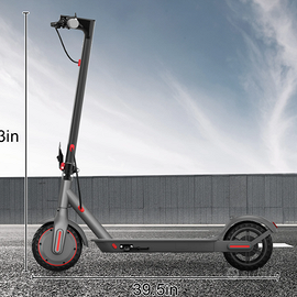 Monopattino nuovo 350w