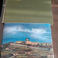 Vecchia Bergamo- Lombardia la terra  ricette vini