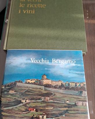 Vecchia Bergamo- Lombardia la terra  ricette vini