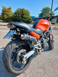 ducati monster