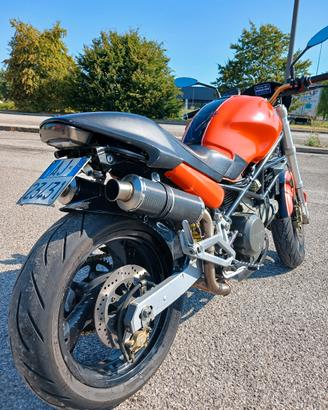 ducati monster