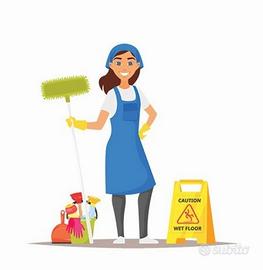 Pulizia Domestica, Uffici e B&B