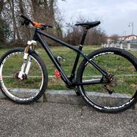 Rose Mr. ride