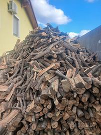 legna secca 