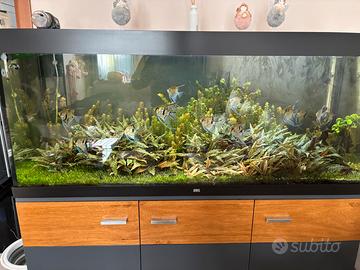 Acquario juwel 450