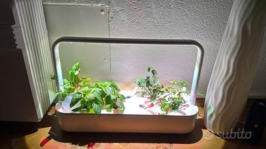 Serra da casa Click and Grow Smart Garden 9