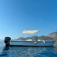 BARCA OPEN 6m Mercury 40cv