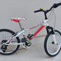 Bici MTB bambino 20 pollici