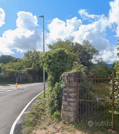 Terreno zona G e vigneto