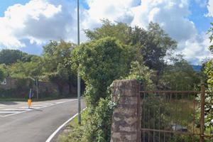 Terreno zona G e vigneto