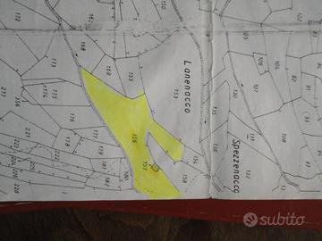 Terreno con rustico crollato