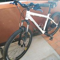 Moutanbike corratec XVert Expert