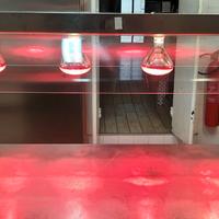 Ristorazione Lampade scalda pietanze