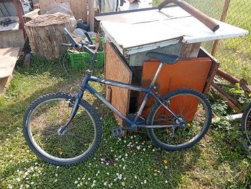 bici da ragazzo dai 10/15 anni 