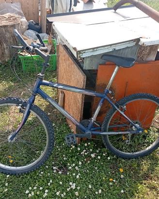 bici da ragazzo dai 10/15 anni 