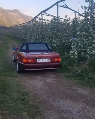 Mercedes SL Cabrio
