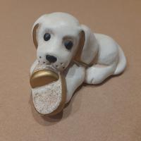 cagnolino Thun che gioca con una ciabatta 