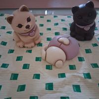 Gatti Thun e coccinella