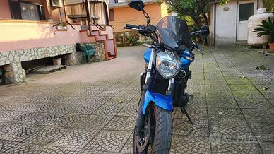 Yamaha fz6