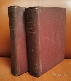 Trattato di Anatomia Topografica 1922