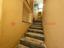 Immagine 30