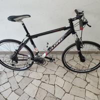 Bicicletta MTB