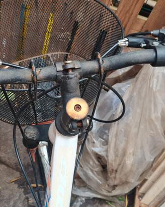 Mountain bike 24 pollici