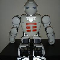Robot Ubtech Alpha 1S Edizione Limitata e numerata
